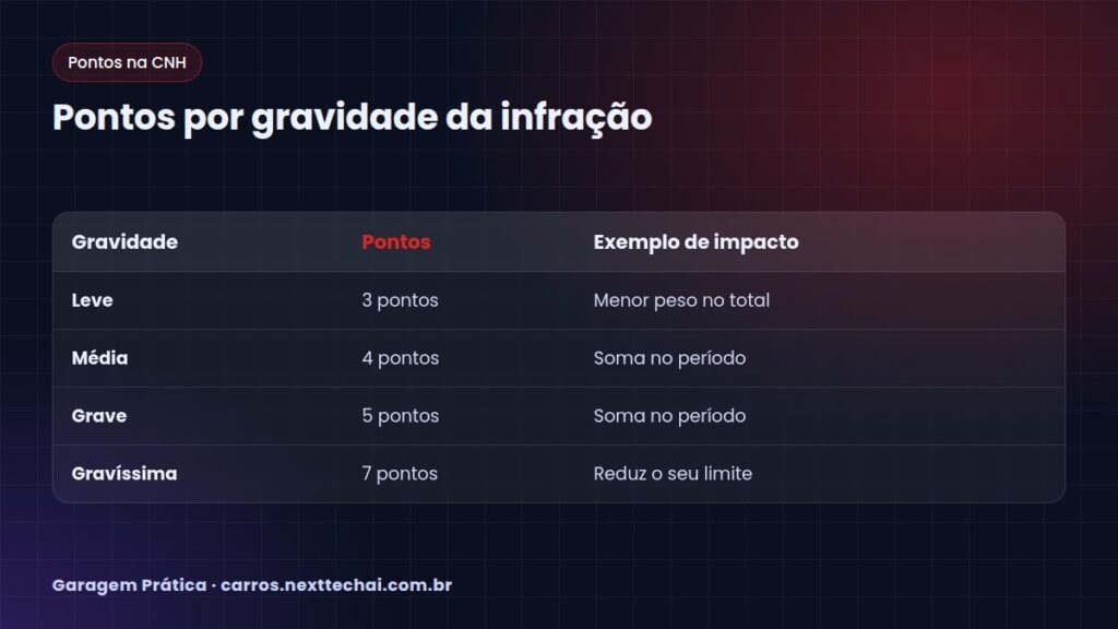 Pontos por gravidade da infração